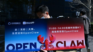 El creador de OpenClaw asegura que 2026 ser&aacute; el a&ntilde;o de los agentes de IA