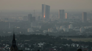 Bce, potenziale aggiustamento marginale tassi in autunno