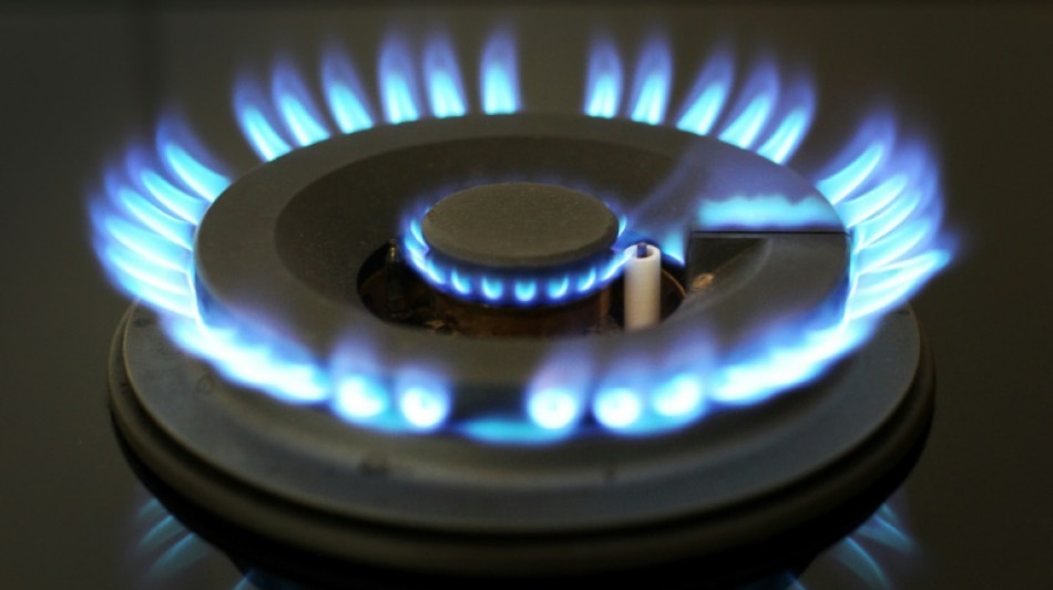 Bundesregierung will Energiepreisbremsen bis Ende M&auml;rz verl&auml;ngern