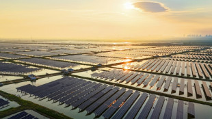 Australia aprueba plan para construir la planta solar "m&aacute;s grande" del mundo