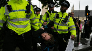 Royaume-Uni: des dizaines de partisans du groupe interdit Palestine Action arr&ecirc;t&eacute;s