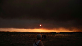 Incendies en Europe : les derniers d&eacute;veloppements