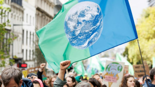 "L'inaction co&ucirc;te des vies" : manifestation pour le climat &agrave; Bruxelles