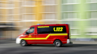 Von Kranausleger eingeklemmt: Mann stirbt bei Arbeitsunfall in Baden-W&uuml;rttemberg