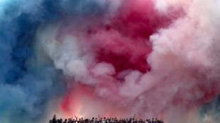Jubilant PSG parade Champions League trophy in Paris 