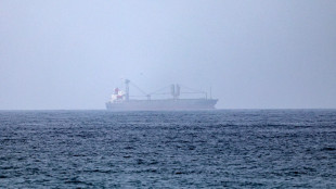 Iran, 'raggiunto l'accordo con l'Oman sullo Stretto di Hormuz'