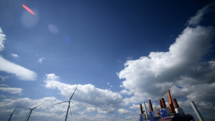 Italia apuesta por el primer parque e&oacute;lico marino del Mediterr&aacute;neo