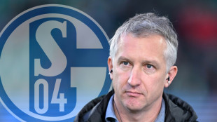 Ziel Bundesliga: Baumann &uuml;bernimmt Vorstandsposten auf Schalke