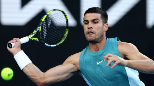 Alcaraz l&auml;sst die Muskeln spielen, Djokovic bleibt cool