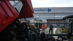 Une plateforme logistique Carrefour &agrave; Toulouse bloqu&eacute;e par la Coordination rurale