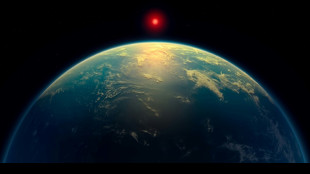 Doutes sur la d&eacute;tection de possibles "indices" de vie extraterrestre