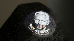 Los abogados de EEUU niegan motivación política en la demanda de extradición de Assange