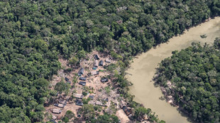 Armee in Venezuela vertreibt 11.500 illegale Sch&uuml;rfer aus Nationalpark 