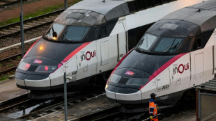 Gr&egrave;ves et changement de PDG: un mois de mai sous tension &agrave; la SNCF