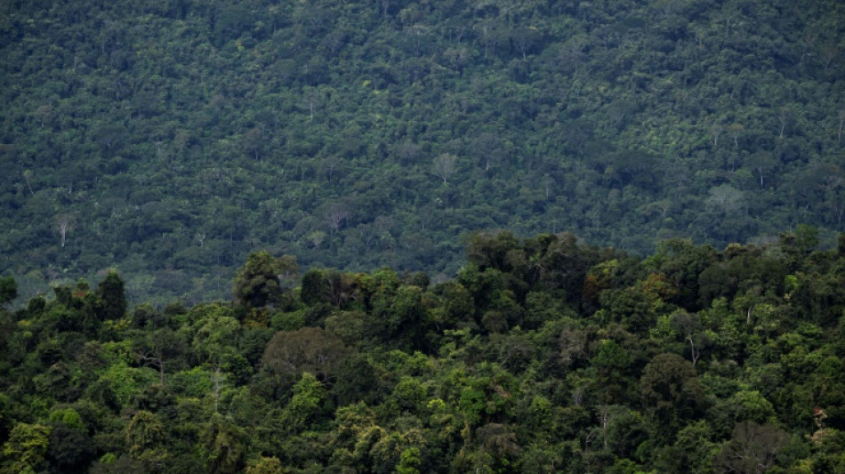 Diputados brasile&ntilde;os aprueban proyecto que limita demarcaci&oacute;n de tierras ind&iacute;genas