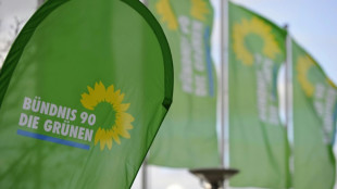 Gr&uuml;ne in Bayern schicken Spitzenduo Hartmann und Schulze in Landtagswahl 2023