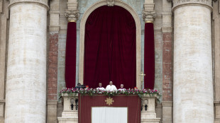 Il Papa, cessi il fuoco a Gaza, la situazione &egrave; gravissima