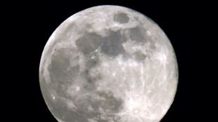 EEUU regresar&aacute; a la Luna a fines de enero, 50 a&ntilde;os despu&eacute;s de su misi&oacute;n Apolo