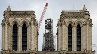 A un an de la r&eacute;ouverture, Macron visite le chantier de Notre-Dame de Paris