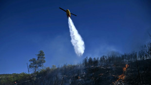 Evacuaciones y casas da&ntilde;adas por un violento incendio forestal cerca de Atenas