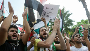 Onda de solidariedade nos pa&iacute;ses &aacute;rabes com a ofensiva do Hamas contra Israel