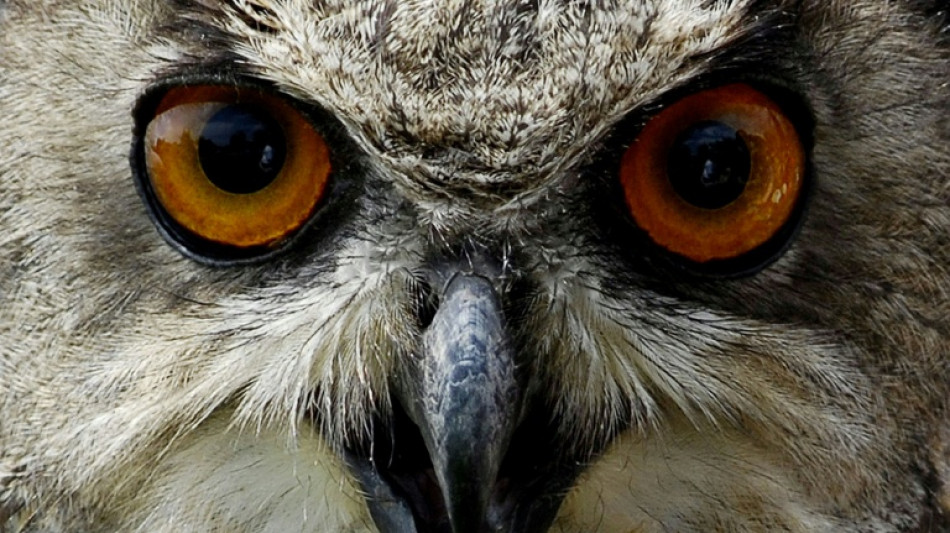 W&auml;rmeliebende V&ouml;gel profitieren vom Klimawandel - Artenschwund auf Agrarfl&auml;chen