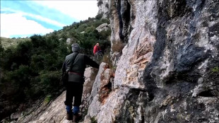 Bibi, il dinosauro sardo sconosciuto per 165 milioni di anni