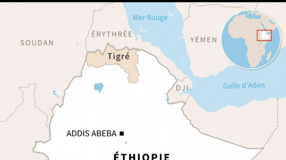 Ethiopie: combats entre arm&eacute;e f&eacute;d&eacute;rale et forces tigr&eacute;ennes, vols supendus vers le Tigr&eacute; 