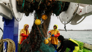 EU-Kommission schl&auml;gt zum Teil deutlich geringere Fischfangquoten f&uuml;r die Ostsee vor