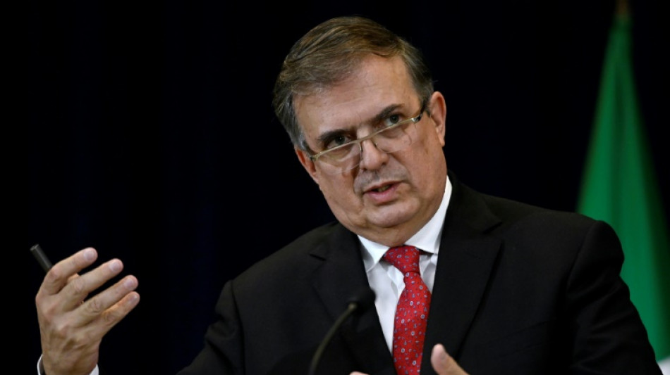 M&eacute;xico busca liberar de carbono su econom&iacute;a hacia 2035, asegura el canciller mexicano
