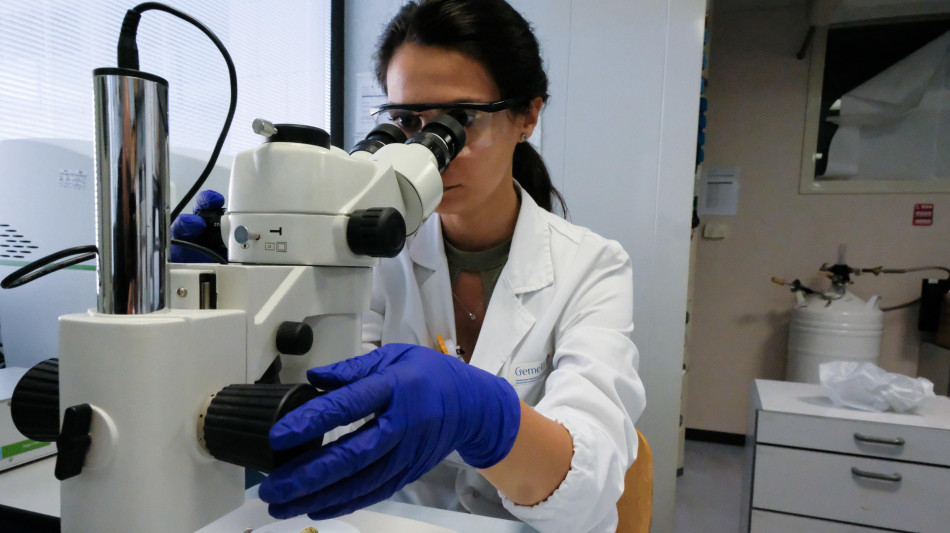 Tumore polmone e seno, cresce sopravvivenza con nuovi farmaci