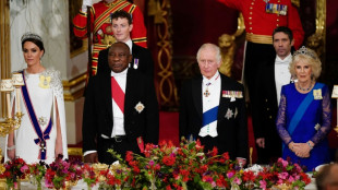 Climat: en visite d'Etat &agrave; Londres, le pr&eacute;sident sud-africain demande l'aide des pays riches