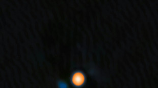 L'&eacute;toile B&eacute;telgeuse a un "copain"