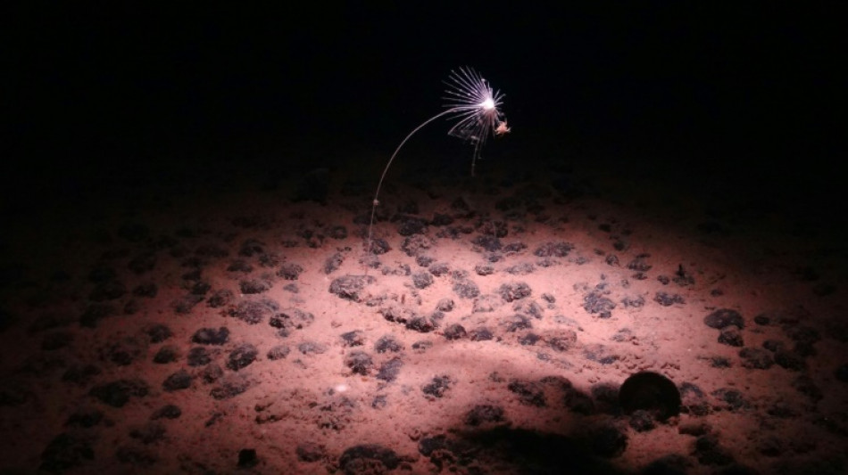 UN-Meeresbeh&ouml;rde unternimmt weiteren Anlauf f&uuml;r Abkommen &uuml;ber Tiefseebergbau