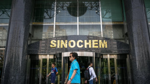 I cinesi di Cnrc presentano una proposta per Pirelli (2)