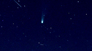 La cometa interstellare 3I/Atlas &egrave; composta da acqua aliena