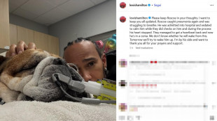 F1: addio Hamilton al cane, "Addormentarlo decisione pi&ugrave; dura"