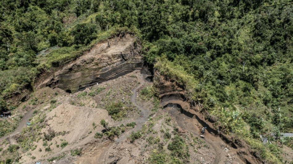 A Anjouan, aux Comores, un sursaut pour sauver la for&ecirc;t en perdition