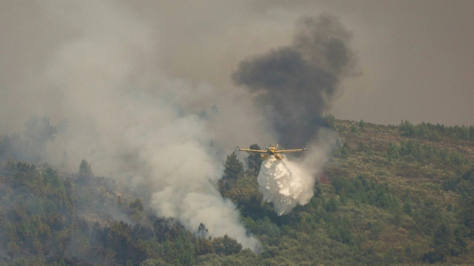 La UE trabaja "sin descanso" para ayudar a los países afectados por los incendios