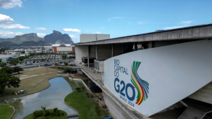 El G20, cita de las potencias econ&oacute;micas ante un mundo en crisis