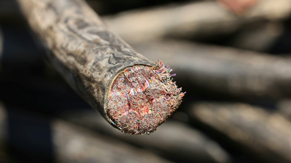 European stocks brush off Trump's copper, pharma tariff threats