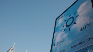 La moiti&eacute; de l'humanit&eacute; a subi un mois suppl&eacute;mentaire de canicule &agrave; cause du r&eacute;chauffement, selon une &eacute;tude