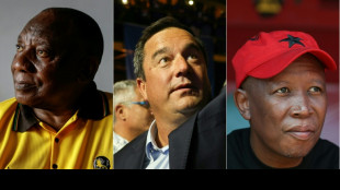 El presidente de Sud&aacute;frica llama a la unidad tras perder la mayor&iacute;a en el Parlamento
