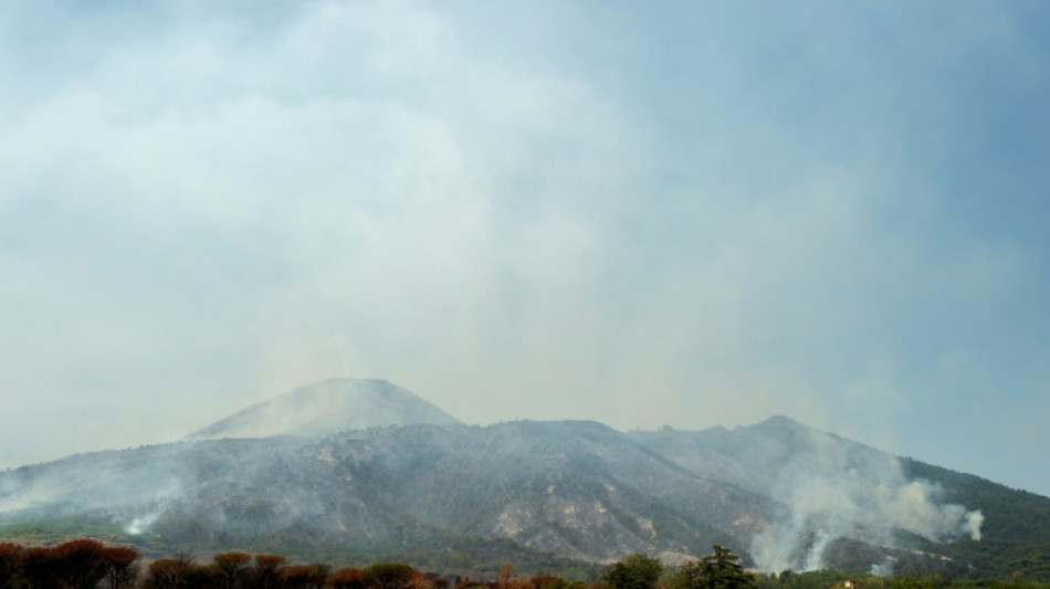 Italy's Mount Vesuvius closed to tourists over wildfire