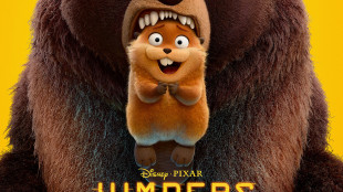 Tecla Insolia, 'uomini e animali tutti sotto lo stesso cielo'