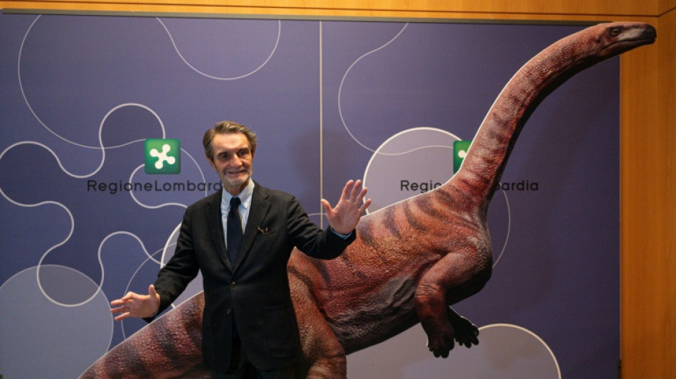 Un "immense" ensemble d'empreintes de dinosaures d&eacute;couvert en Italie