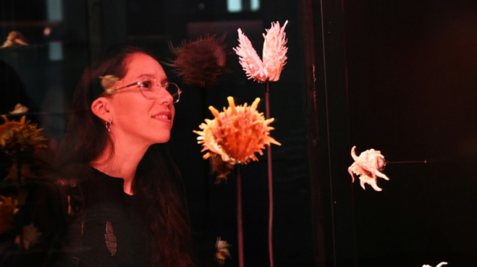 Exposici&oacute;n de mil caracolas de Pablo Neruda es inaugurada en Chile