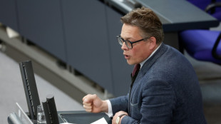 "Brandgef&auml;hrlich": Von Notz wirft Verfassungsschutz Vers&auml;umnis bei Schutz vor AfD vor