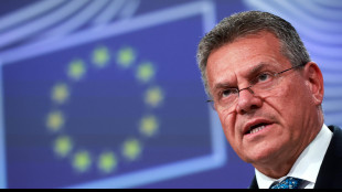 Ue, la prossima settimana colloquio con Cina su terre rare