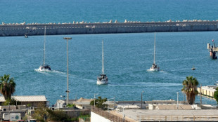 Expulsion d'Isra&euml;l de premiers militants de la flottille pour Gaza

